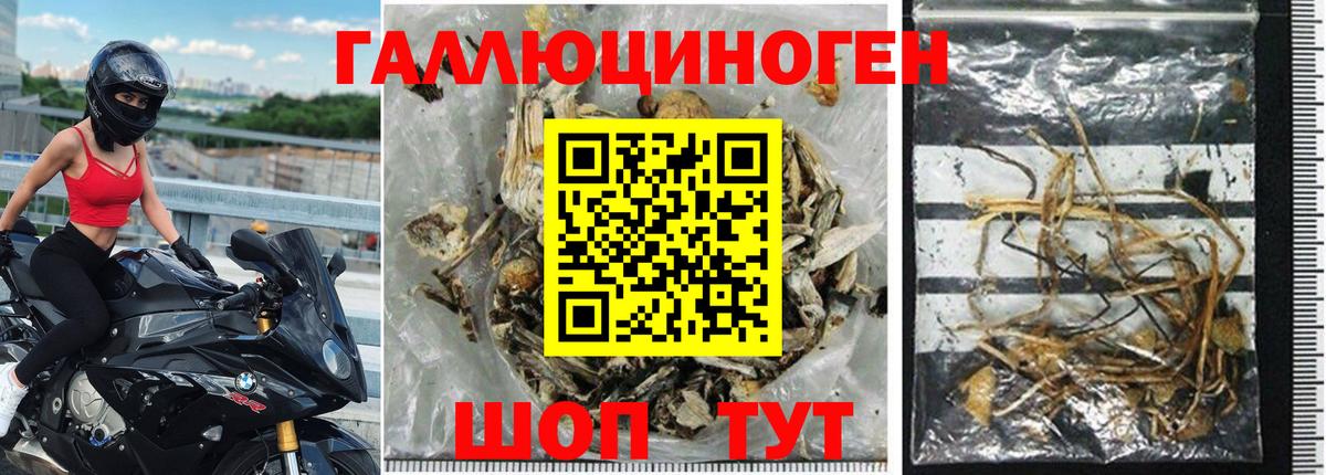 наркошоп  Галлюциногенные грибы мухоморы  Вход с VPN  Асино 